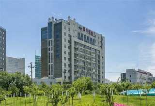 青海取石球囊是什么